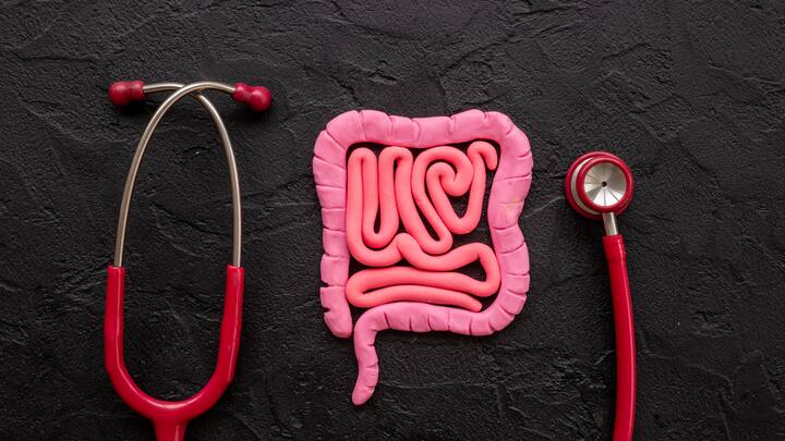 Supports Digestion: Foxnuts are rich in fibre which help in improving digestion and help in relieving constipation. (Image Source: Canva)