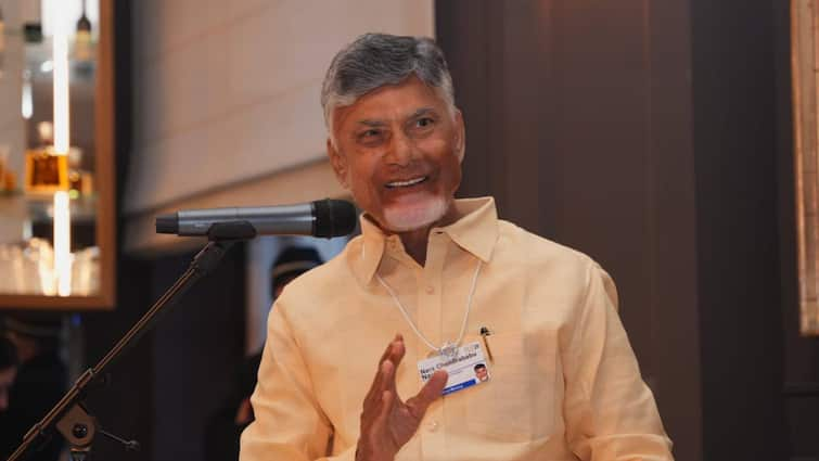 Andhra CM Chandrababu Naidu Hails Union Budget 2025 As ‘Pro-People, Progressive’