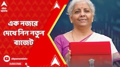 Budget 2025: বাজেট পেশ নির্মলার, এক নজরে দেখে নিন কোন কোন জিনিসের দাম বাড়ল, কীসের দাম কমল