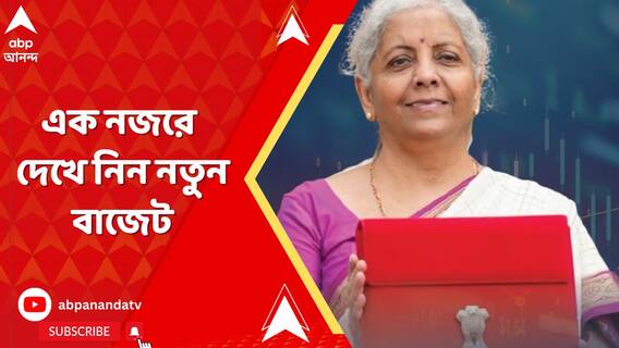 বাজেট পেশ নির্মলার, এক নজরে দেখে নিন কোন কোন জিনিসের দাম বাড়ল, কীসের দাম কমল
