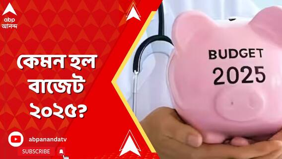 বাজেটে কী কী নতুন সুবিধা? কৃষকদের জন্য কী নতুন ঘোষণা? কেমন হল বাজেট ২০২৫? দেখুন একনজরে