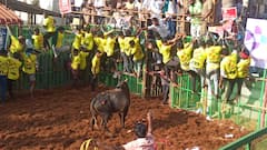 Jallikattu 2025 : அடங்க மறுக்கும் காளைகள்.. அடக்கும் காளையர்கள்! தொடங்கியது மாதாக்கோட்டை ஜல்லிக்கட்டு