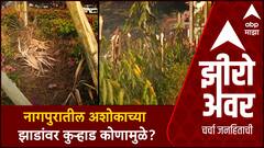 Zero Hour | Nagpur | महापालिकेचे महामुद्दे | रिंग रोडवरील साडे पाचशे झाडं कोणी कापली?
