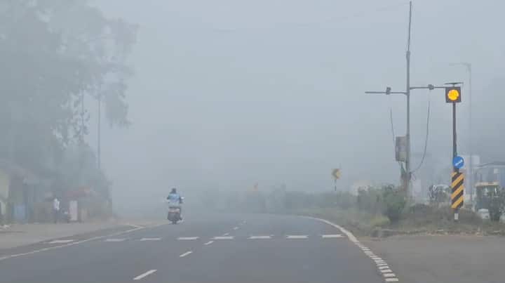 तसेच आंबा, काजू पिकाला देखील फटका बसण्याची शक्यता आहे. दाट धुक्यामुळे आंबा, काजू वर थ्रीप सारख्या रोगाचा प्रादुर्भाव होण्याची शक्यता आहे.
