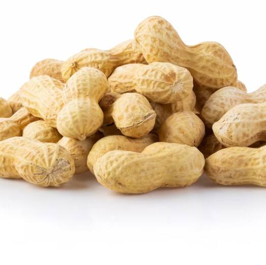 ਮੂੰਗਫਲੀ ਨੂੰ ਲੋਕ ਨਮਕੀਨ, ਭੁੰਨੇ ਕੇ ਖਾਣਾ ਪਸੰਦ ਕਰਦੇ ਹਨ। ਇਹ ਪ੍ਰੋਟੀਨ, ਫਾਈਬਰ ਅਤੇ ਸਿਹਤਮੰਦ ਚਰਬੀ ਦਾ ਇੱਕ ਚੰਗਾ ਸਰੋਤ ਹੈ, ਜੋ ਸਰੀਰ ਲਈ ਬਹੁਤ ਫਾਇਦੇਮੰਦ ਹੁੰਦੇ ਹਨ। ਪਰ ਕੀ ਤੁਸੀਂ ਸੁਣਿਆ ਹੈ ਕਿ ਮੂੰਗਫਲੀ ਖਾਣ ਤੋਂ ਤੁਰੰਤ ਬਾਅਦ ਠੰਡਾ ਪਾਣੀ ਨਹੀਂ ਪੀਣਾ ਚਾਹੀਦਾ? ਇਹ ਵਿਸ਼ਵਾਸ ਬਹੁਤ ਸਾਰੇ ਲੋਕਾਂ ਵਿੱਚ ਪ੍ਰਚਲਿਤ ਹੈ।