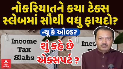 Income Tax : નોકરિયાતને કયા ટેક્સ સ્લેબમાં સૌથી વધુ ફાયદો? શું કહે છે એક્સપર્ટ ?