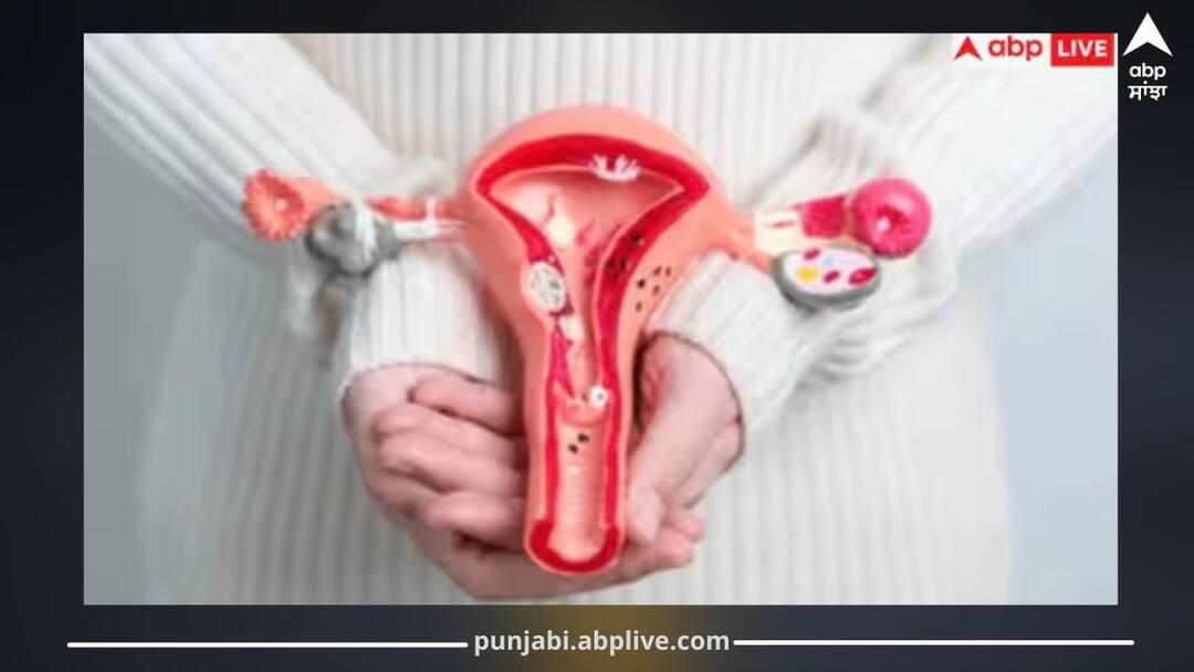 Bleeding After Menopause? It Could Be a Symptom of Cancer ਮੀਨੋਪੌਜ਼ ਦੇ ਬਾਅਦ ਵੀ ਜਾਰੀ ਹੈ ਬਲੀਡਿੰਗ? ਤਾਂ ਸਾਵਧਾਨ... ਹੋ ਸਕਦੇ ਕੈਂਸਰ ਦੇ ਲੱਛਣ