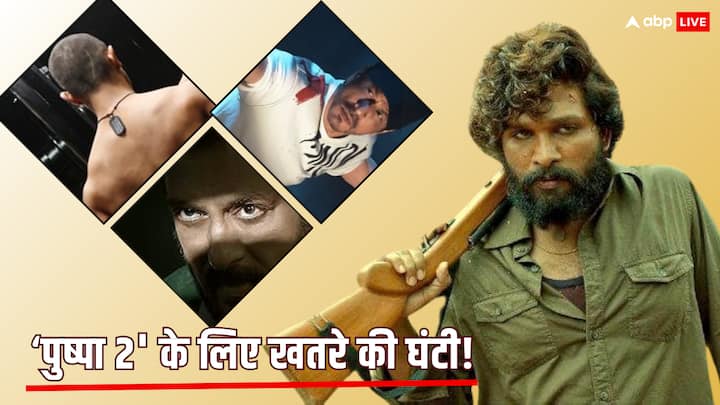 Pushpa 2 Box Office Collection: पुष्पा 2 के बॉक्स ऑफिस कलेक्शन भले पहाड़ जैसे हैं लेकिन आने वाले दिनों में वो फिल्में आने वाली हैं जो अल्लू अर्जुन के रिकॉर्ड चुटकियों में तोड़ देंगी.