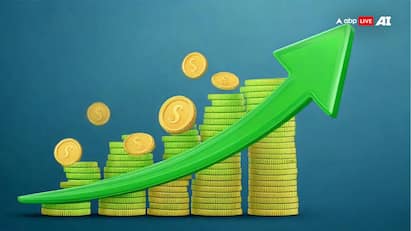 Largecap Mutual Fund: ভারতের সেরা ১০০ সংস্থায় বিনিয়োগ করে থাকে এই ধরনের ফান্ডগুলি আর এতে এক্সপেন্স রেশিও অনেক কম হয় তুলনায়।