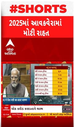 Budget 2025:બજેટ 2025માં આવકવેરામાં મોટી રાહત, જુઓ વિગતવાર માહિતી આ વીડિયોમાં