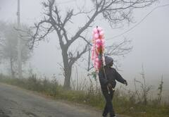 West Bengal Weather : ঘাম ছুটল সরস্বতী পুজোয়, শীত কি একেবারে বিদায়ের পথে? জানাল আবহাওয়া দফতর