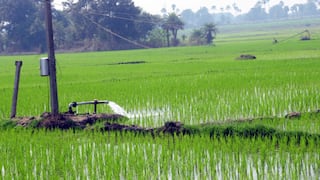 Punjab News: ਕਿਸਾਨਾਂ ਲਈ ਖੁਸ਼ਖਬਰੀ, ਸਬਸਿਡੀ ਸਣੇ ਮਿਲੇਗੀ MSP; ਜਾਣੋ ਕਿਹੜੇ ਖੇਤੀ ਕਿਸਾਨ ਚੁੱਕਣਗੇ ਲਾਭ?