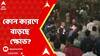Bangaldesh News: বিক্ষোভের মুখে ইউনূস, ঘরের মধ্যে কোন কারণে বাড়ছে ক্ষোভ? ABP Ananda Live
