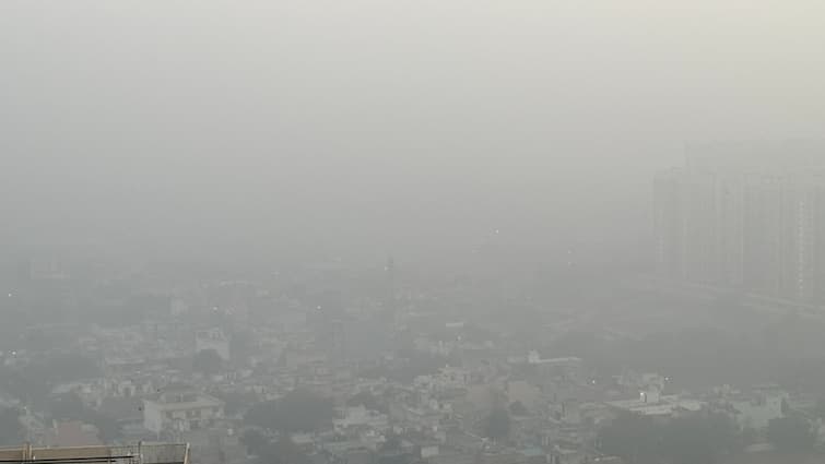 Delhi Weather Forecast News Rain And Cold Winter Took A Short Break Chill Likely To Increase Winter Just Took A Short Break! Chill Likely To Increase With Rain Amid Another Flip-Flop By Delhi Weather
