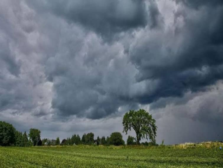 The Meteorological Department has predicted unseasonal rains in this district of Gujarat. Weather Forecast: રાજ્યના વાતવરણમાં આવશે પલટો, આ જિલ્લામાં કમોસમી વરસાદની આગાહી