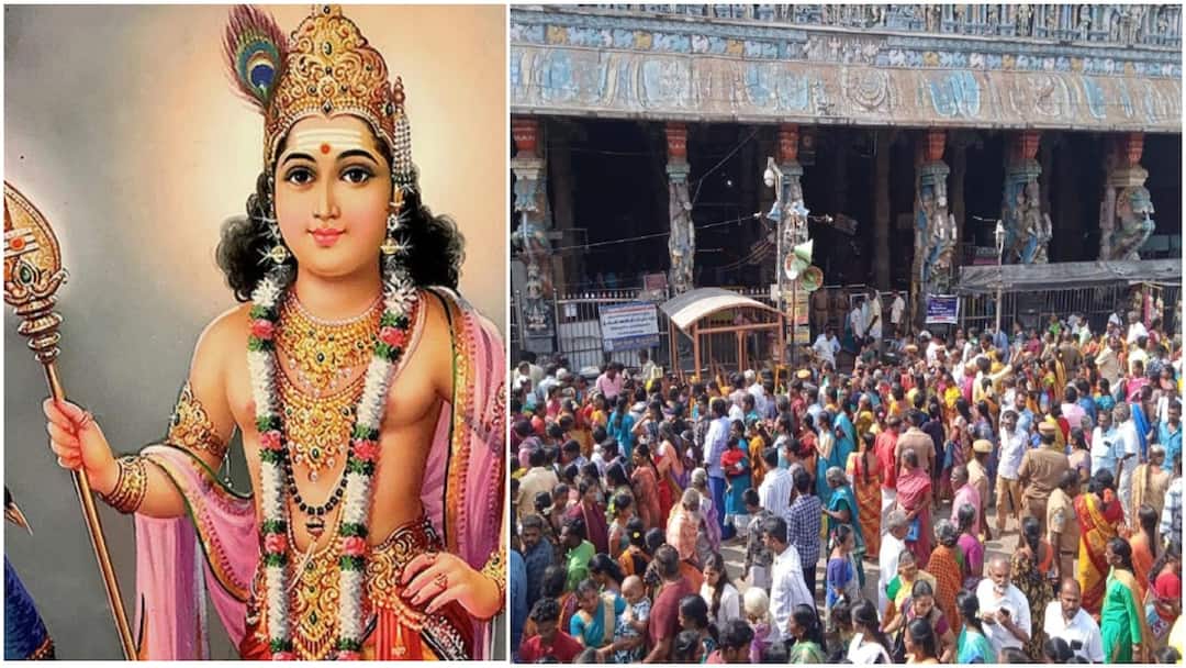 Thaipusam 2025: முருக பக்தர்களே! தைப்பூசத் திருவிழாவிற்கு ரெடியா? கொடியேற்றம் எப்போது தெரியுமா?
