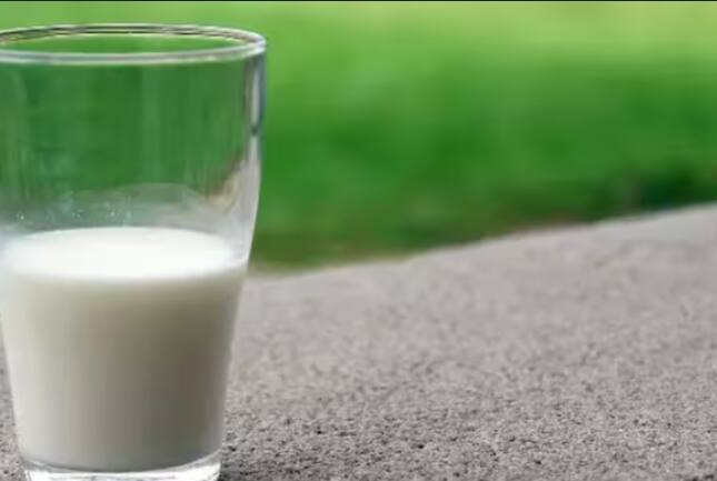 ਭਾਰਤ ਦੁੱਧ ਉਤਪਾਦਨ ਦੇ ਮਾਮਲੇ ਵਿੱਚ ਦੁਨੀਆ ਵਿੱਚ ਪਹਿਲੇ ਸਥਾਨ 'ਤੇ ਹੈ। ਭਾਰਤ ਦੁਨੀਆ ਦੇ ਕੁੱਲ ਦੁੱਧ ਉਤਪਾਦਨ ਵਿੱਚ 24.64 ਪ੍ਰਤੀਸ਼ਤ ਯੋਗਦਾਨ ਪਾਉਂਦਾ ਹੈ। ਇੰਨਾ ਹੀ ਨਹੀਂ, ਭਾਰਤ ਆਪਣੀ ਖਪਤ ਵਿੱਚ ਵੀ ਕਈ ਦੇਸ਼ਾਂ ਤੋਂ ਅੱਗੇ ਹੈ। ਦੁੱਧ ਦੀ ਵਰਤੋਂ ਚਾਹ ਅਤੇ ਕੌਫੀ ਦੇ ਰੂਪ ਵਿੱਚ ਵੀ ਕੀਤੀ ਜਾਂਦੀ ਹੈ। ਦੁੱਧ ਪੀਣਾ ਸਿਹਤ ਲਈ ਵੀ ਬਹੁਤ ਫਾਇਦੇਮੰਦ ਹੁੰਦਾ ਹੈ। ਪਰ ਸਾਦਾ ਦੁੱਧ ਪੀਣਾ ਅਜੀਬ ਲੱਗਦਾ ਹੈ, ਇਸ ਲਈ ਲੋਕ ਇਸ ਨੂੰ ਮਿੱਠਾ ਕਰਕੇ ਪੀਂਦੇ ਹਨ। ਆਮ ਤੌਰ 'ਤੇ ਲੋਕ ਇਸ ਵਿੱਚ ਖੰਡ ਮਿਲਾਉਂਦੇ ਹਨ। ਜਾਂ ਕੋਈ ਗੁੜ ਵਾਲਾ ਦੁੱਧ ਪੀਂਦਾ ਹੈ।