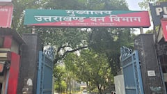 उत्तराखंड: वन विभाग के अफसरों को फॉरेस्ट फ्यूचर प्लान से परहेज! खतरे में पड़ सकती है जंगलों की सेहत