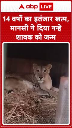 Joy after 14 years! Mansi gives birth to a cub