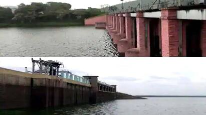 Mullaperiyar Dam water level drops below 120 feet due to lack of rain tnn Mullaperiyar Dam: மழை இல்லை.. 120 அடிக்கும் கீழ் குறைந்த முல்லை பெரியாறு அணை நீர்மட்டம்