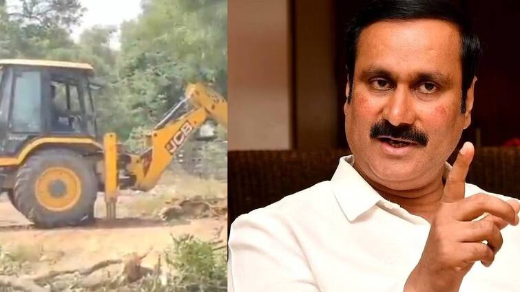 PMK leader Anbumani ramadoss speech about killing of trees in Vadalur Sathyagnana Sabha வாடிய பயிரை கண்டபோதெல்லாம் வாடியவரின்  நிலத்தில் மரங்களை வெட்டி வீழ்த்துவதா?  - அன்புமணி கேள்வி
