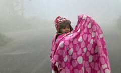 Winter Weather Update : পাখা-AC র দিন আর দূরে নেই, এই দিনেই শীত শেষ, জানাল আবহাওয়া দফতর