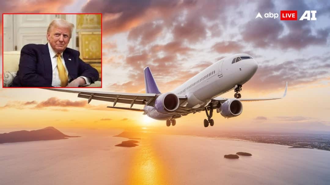 Indian Migrants: భారత్కు ట్రంప్ సెగ, వలసదారులతో ఢిల్లీకి బయలుదేరిన విమానం! Donald Trump begins deporting Indian migrants US military flight leaves America Report Indian Migrants: భారత్కు ట్రంప్ సెగ, వలసదారులతో ఢిల్లీకి బయలుదేరిన విమానం!