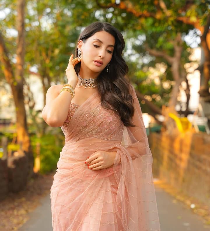 बिग बॉस 9 से बाहर आने के बाद नोरा फतेही ने कई म्यूजिक एल्बम और डांस नंबर में अपनी डांसिंग स्किल दिखाई. जिसमें दिलबर दिलबर, हाय गर्मी जैसे गाने शामिल है. ये सभी सुपरहिट रहे थे.