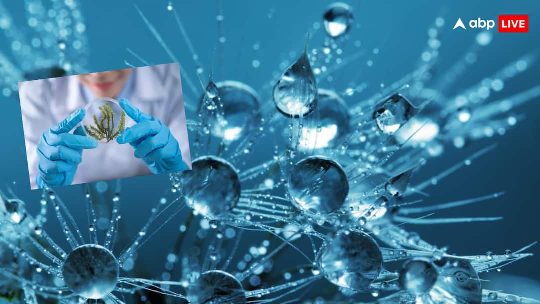 शरीर में लव हार्मोन कैसे करता है काम? क्या सच में इससे हो सकता है किसी का इलाज Love hormones produced in the body can cure addiction know what came out in Japan research शरीर में लव हार्मोन कैसे करता है काम? क्या सच में इससे हो सकता है किसी का इलाज