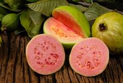 ડાયાબિટીસના દર્દીઓએ રોજ જામફળ ખાવું જોઈએ, થશે આ ફાયદા