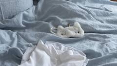 Early Wake Up Tips: সকালে উঠতে সমস্যা? এই নিয়ম মানলে রাতে হবে গভীর ঘুম