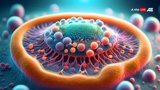 World Cancer Day 2025: कैंसर की बड़ी वजह बन सकते हैं ये दो इंफेक्शन, जानें कैसे कर सकते हैं बचाव