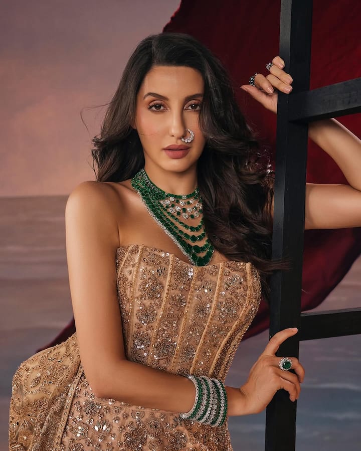 इसका खुलासा कई बार नोरा अपने इंटरव्यूज में कर चुकी हैं. वहीं एक बार मैशबल इंडियन से बात करते हुए नोरा ने बताया था कि जब वो इंडिया आई थी तो उनकी जेब में सिर्फ  5 हजार रुपये थे.