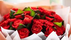 Rose Day 2023: 'रोज डे' का साजरा केला जातो, या दिवशी तुम्ही कोणत्या-कोणत्या रंगाचे गुलाब देऊ शकता?