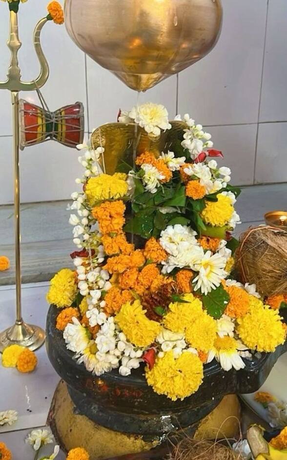 महाशिवरात्रि पर हरा रंग धारण करें. यह रंग प्रकृति का प्रतीक है.