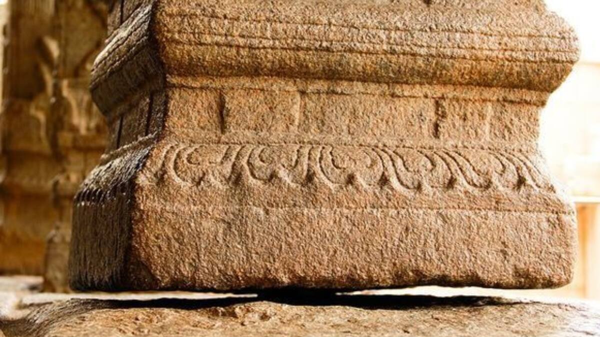 (Image Source: Twitter/@shallakaul)