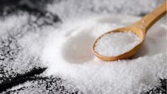 Korean Bamboo Salt: ১ কেজি নুনের দাম ৩০ হাজার টাকা ! হইচই ফেলেছে 'ব্যাম্বু সল্ট'; কী এমন বিশেষত্ব ?