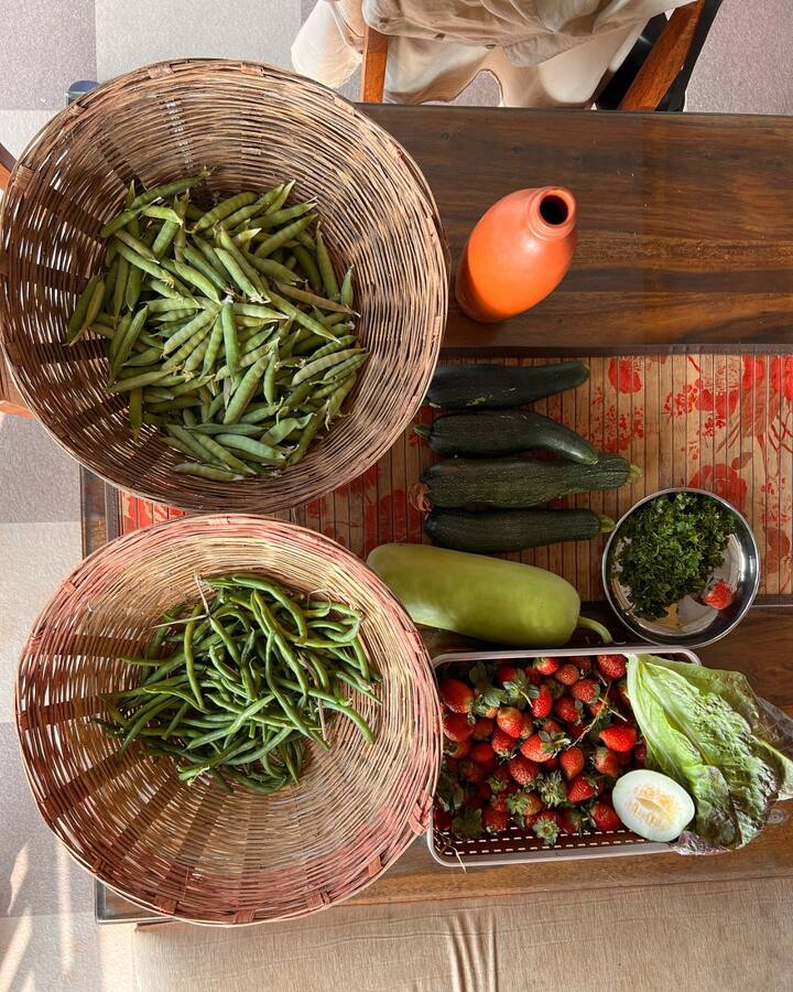 नुकत्याच दिलेल्या मुलाखतीमध्ये मृण्मयीनं शेतकरी म्हणून आयुष्य जगताना तिच्या आयुष्यात झालेल्या बदलांबाबत सांगितलं.