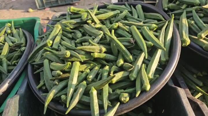 टोमॅटो 10 रुपये किलो, कोथिंबीर 10 रुपयात 2 जुडी आणि पालक 10 रुपयांमध्ये 3 जुडी मिळते आहे.