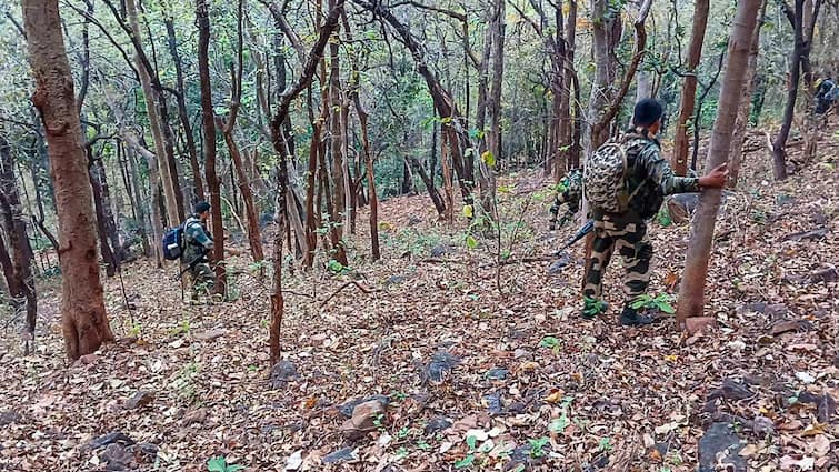 Woman Naxalite With Rs 5 Lakh Bounty Shot Dead In Chhattisgarh, Death Count Hits 247 This Year