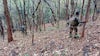 Woman Naxalite With Rs 5 Lakh Bounty Killed In Chhattisgarh Encounter