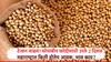 Soybean Procurement: सोयाबीन खरेदीसाठी राहिले केवळ 2 दिवस! राज्यात सोयाबीनची आवक किती? भाव काय? जाणून घ्या