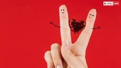 Anti Valentine Week 2025: इस तारीख से शुरू हो रहा है एंटी- वैलेंटाइन वीक, 7 दिन क्या-क्या होता है जान लें पूरी लिस्ट