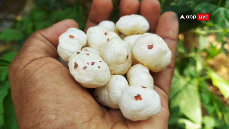 Healthy, Crunchy, And Growing Fast: Understanding The Economics Of Makhana, Bihar's Rising Superfood