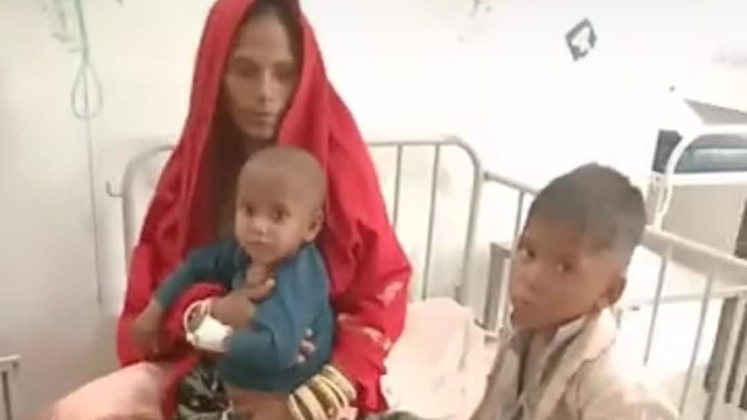 Rajasthan News: सिरोही में रतनजोत के बीज खाने से पांच मासूम हुए बीमार, उल्टी की शिकायत के बाद अस्पताल में भर्ती Rajasthan Sirohi five children eat Ratanjot seed fell ill admit hospital ANN Rajasthan News: सिरोही में रतनजोत के बीज खाने से पांच मासूम हुए बीमार, उल्टी की शिकायत के बाद अस्पताल में भर्ती