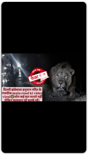 Lion shown on Delhi's road, attacked people? Learn the real story of this video