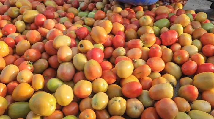 छत्रपती संभाजीनगरमध्ये सर्वात मोठी असलेली जाधववाडी भाजी मंडई येथे भाजीपाल्यांची आवक वाढल्याने भाजीपाल्यांचे दर कोसळलेले पाहायला मिळाले.