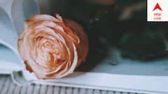 Valentine's Week: ভালবাসার সাতদিন, জানেন তো দিনগুলোর মাহাত্ম্য?