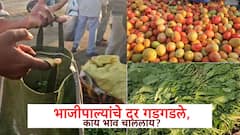 Chhatrapati Sambhajinagar: भाजीपाल्यांची आवक वाढली, दर गडगडले, शेतकऱ्यांमध्ये नाराजी,  सध्या काय भाव चाललेत?