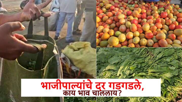 छत्रपती संभाजीनगरमध्ये सध्या भाजीपाल्याची आवक वाढल्यामुळे बाजारभावांमध्ये घसरण झाली आहे.